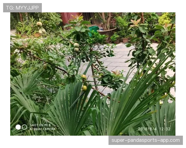 刷到莱万多夫斯基出门随手拎的那只包，我的午饭预算立刻瘫掉