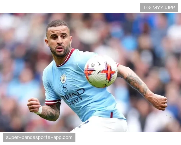 凯尔·沃克与坎塞洛：防守效能与技术风格的差异解析